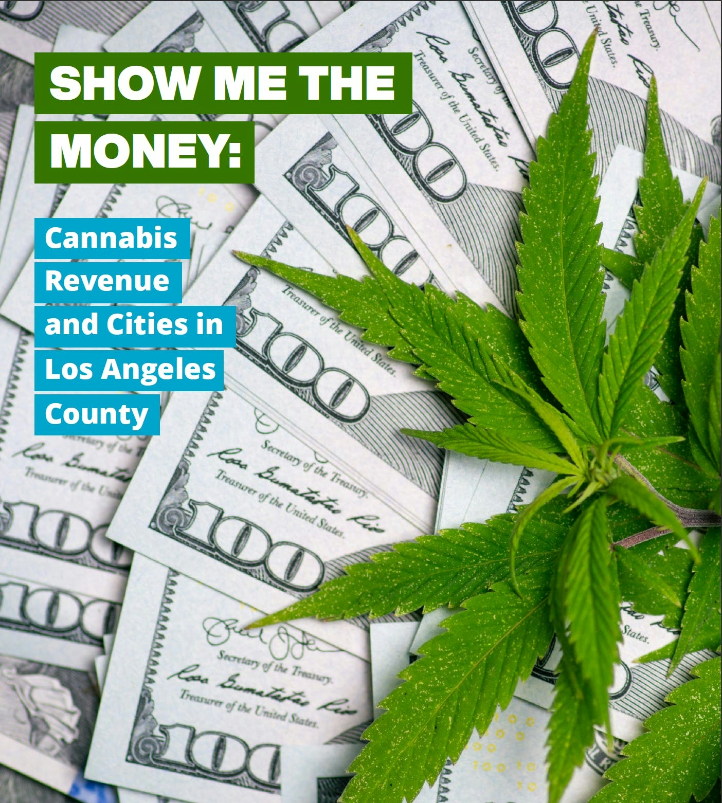 Show me the Money Report